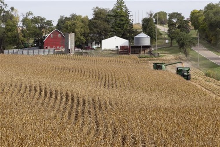 Corn is harvested at Duane Braesch's farm in Bennington, Neb., on Sept. 20.
